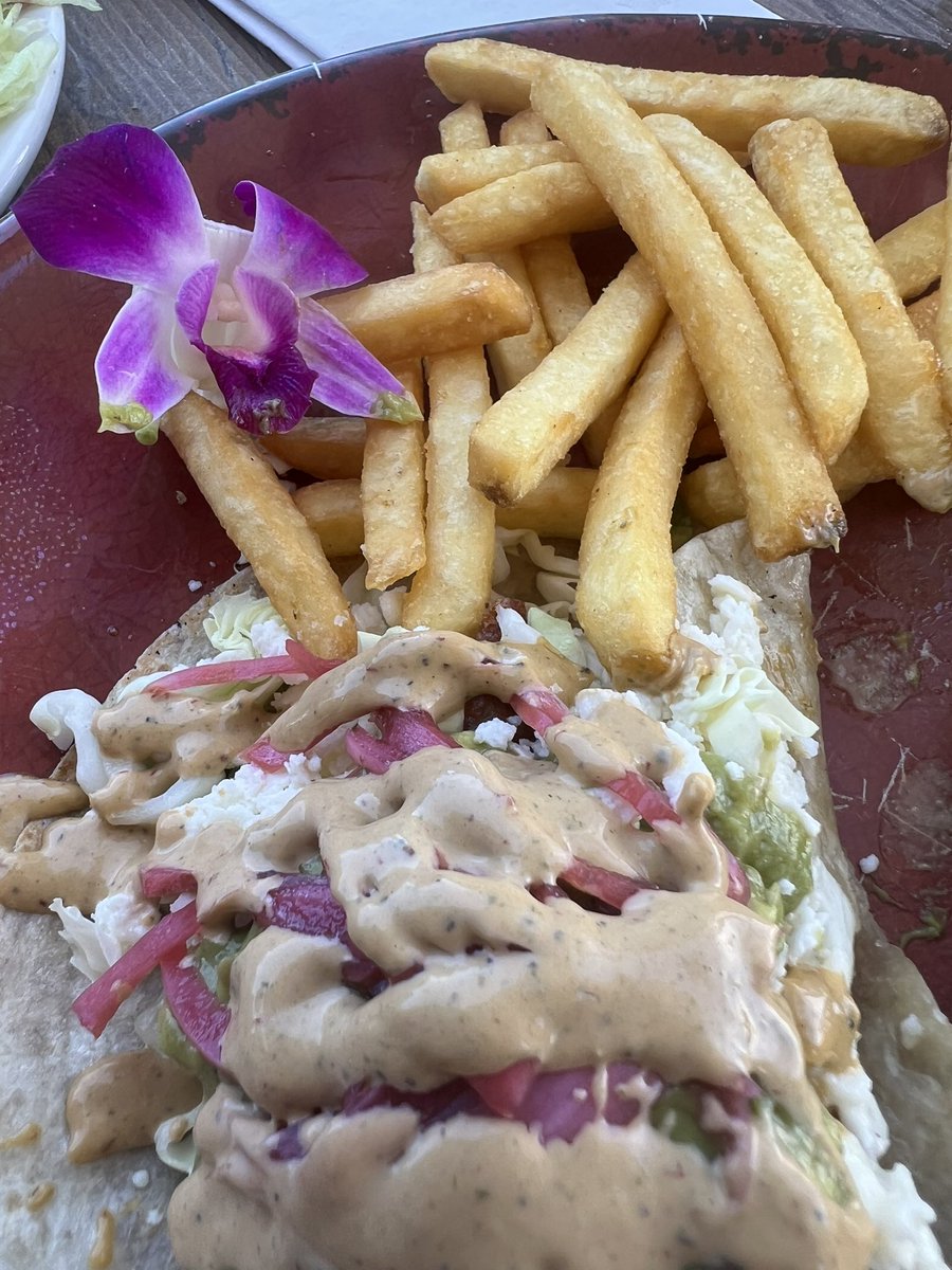 AmandaHaddock's tweet photo. Fish tacos and French fries are a solid #HugLikeDavid lunch choice. https://t.co/IdEccvalxN