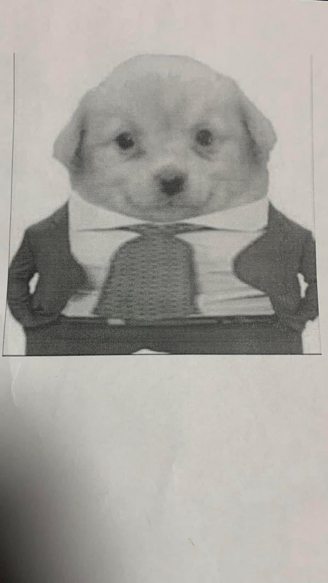 Así nomás quedó <a href="/memesenlosgenes/">memesenlosgenes</a>