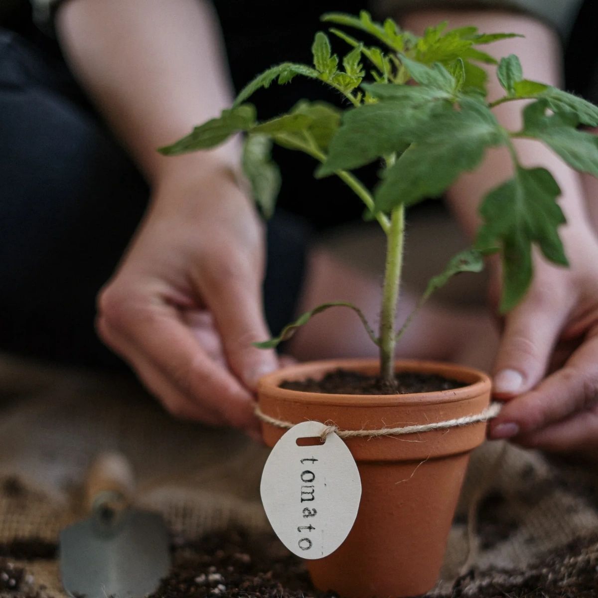 _SustainableMe's tweet photo. Looking to go green? 🌎 Allow us to guide you on your journey towards a more sustainable lifestyle! Head to our website for resources to help you get started.

https://t.co/5MVfcY3DXq https://t.co/PXgEoYzuXt