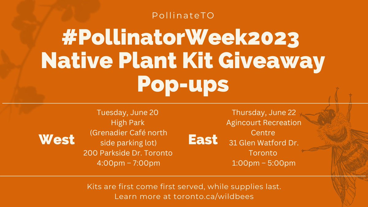LiveGreenTO's tweet image. The #CityOfTO PollinateTO team is hosting TWO pop-up events &amp;amp; giving away FREE Pollinator Plant Kits for #PollinatorWeek2023! Kits are first come, first served, while supplies last. Check out toronto.ca/wildbees to find out when and where!