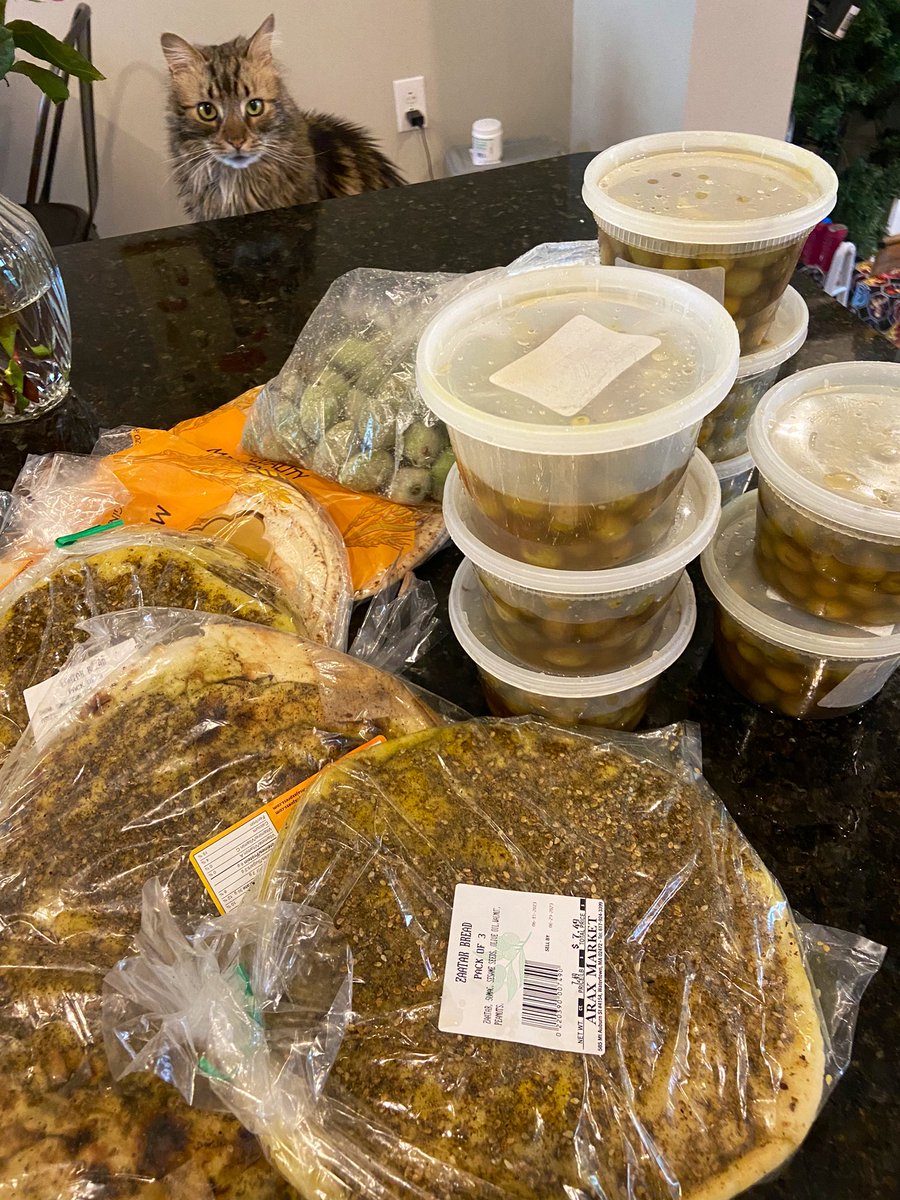 Isabella Kahhalé tweet media