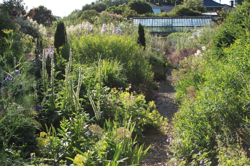 Sunnyside Rural Trust tweet media