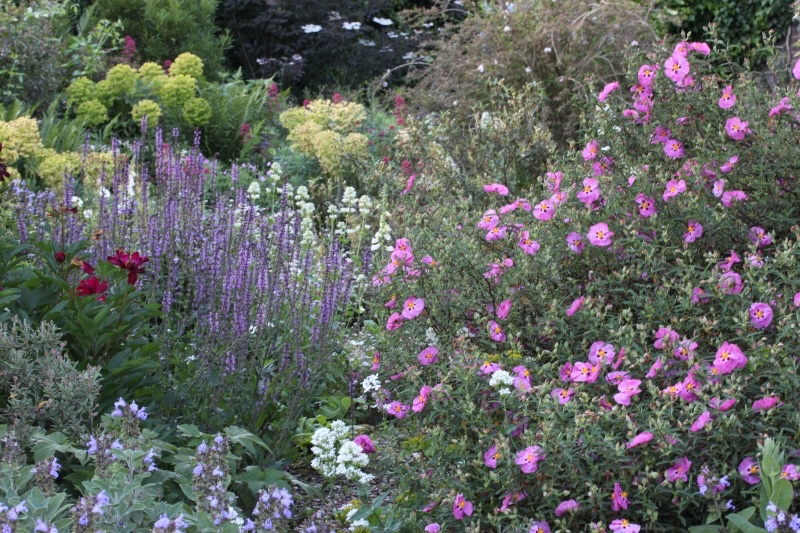 Sunnyside Rural Trust tweet media