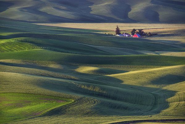 Art for the eyes! buff.ly/3tN9scN #photographyismypassion #PhotographyChallenge #photographypassion #photographyismylife #photographyfun  #photographyexhibition  #photographyideas #photographylifestyle #photographyforlife #washington #farmlife