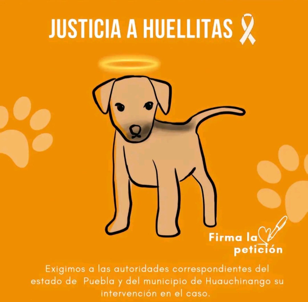 arevalinn's tweet photo. #JusticiaParaHuellitas #VanessaN #asesina @Gob_Puebla https://t.co/3DH4W4FRJ2