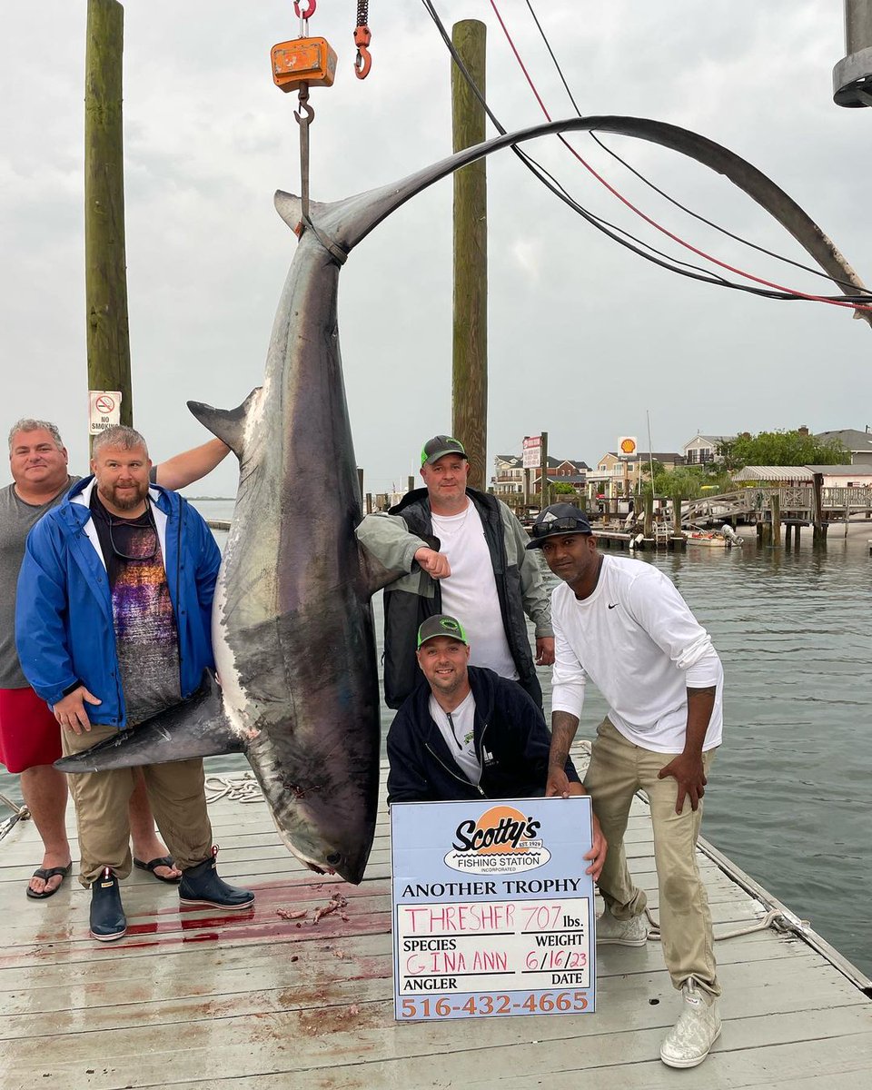 Blue Planet Society tweet media