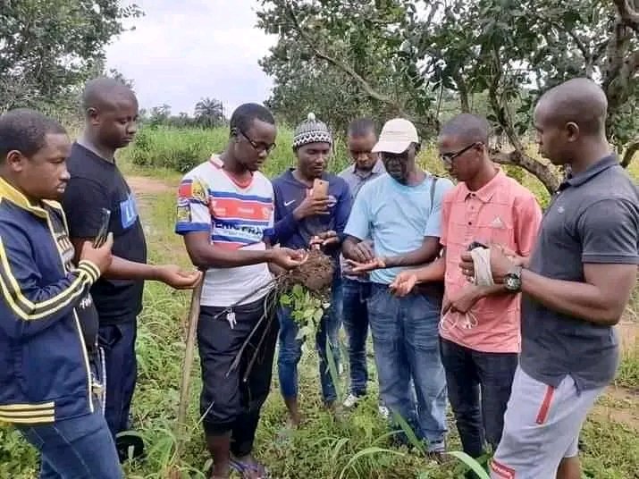 BusinessKeith's tweet photo. BOOTCAMP ENTREPRENEURIAT AGRICOLE 
Le saviez-vous que le choix de la variété de semences doit-être proportionnel au type du sol de votre domaine d'exploitation.
La rentabilité agricole dépend prealablement au choix du terrain.
#EcoBootcamp
#Agriculture #Élevage #Pêche ... https://t.co/9TiQx7AAZn