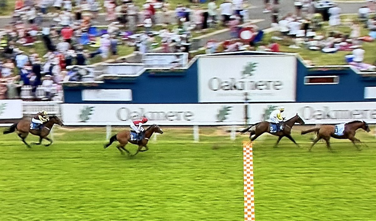 amajox's tweet photo. Congratulations ๐ฎ๐ช@amajox @JodyT97 #JodyTownend @NaasRacecourse WINS ๐๐ฅQueen Mothers Cup @yorkracecourse ๐ฅ๐พ#Kihavah @adrian_keatley #15ran #topride #topjock ๐๐ฅ๐Well done Jody! #FirstFlatGBRide #winner #champagne @AyalaUK_ ๐พ๐พ๐พ๐พ๐พ๐พ๐พ๐พ๐พ๐พ๐พ๐พ๐พ๐พ๐พ๐พ๐พ๐พ๐พ๐พ๐ฅโค๏ธ๐ฎ๐ช๐๐ฅ https://t.co/bs9vHT4OrK