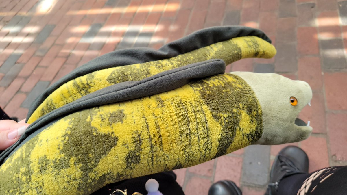 Moe on Twitter "Went to the Boston Aquarium Thursday, saw this