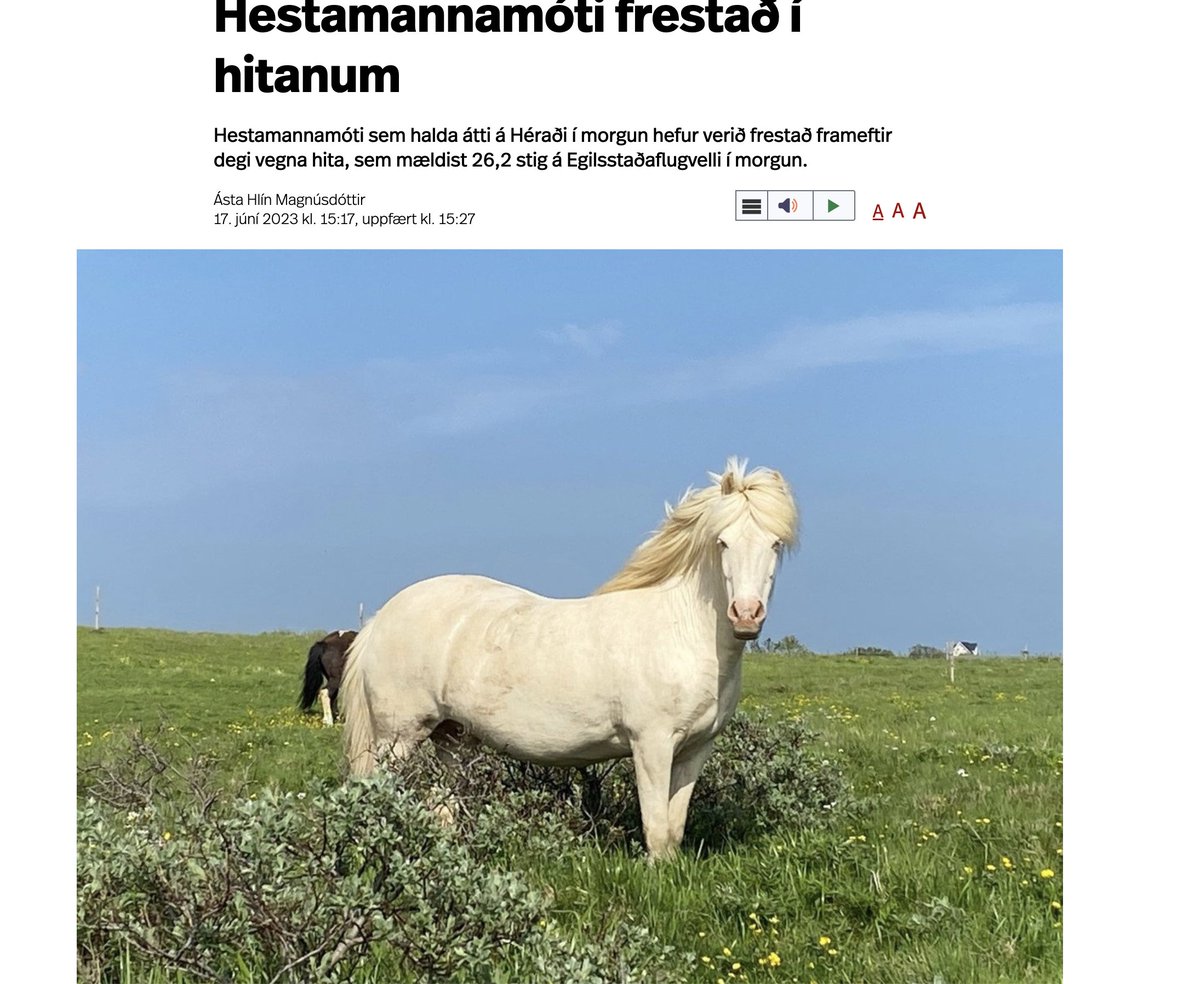 egillm's tweet photo. elska þetta haltu mér slepptu mér samband sem við eigum með veðrið https://t.co/xfZPAuimWy