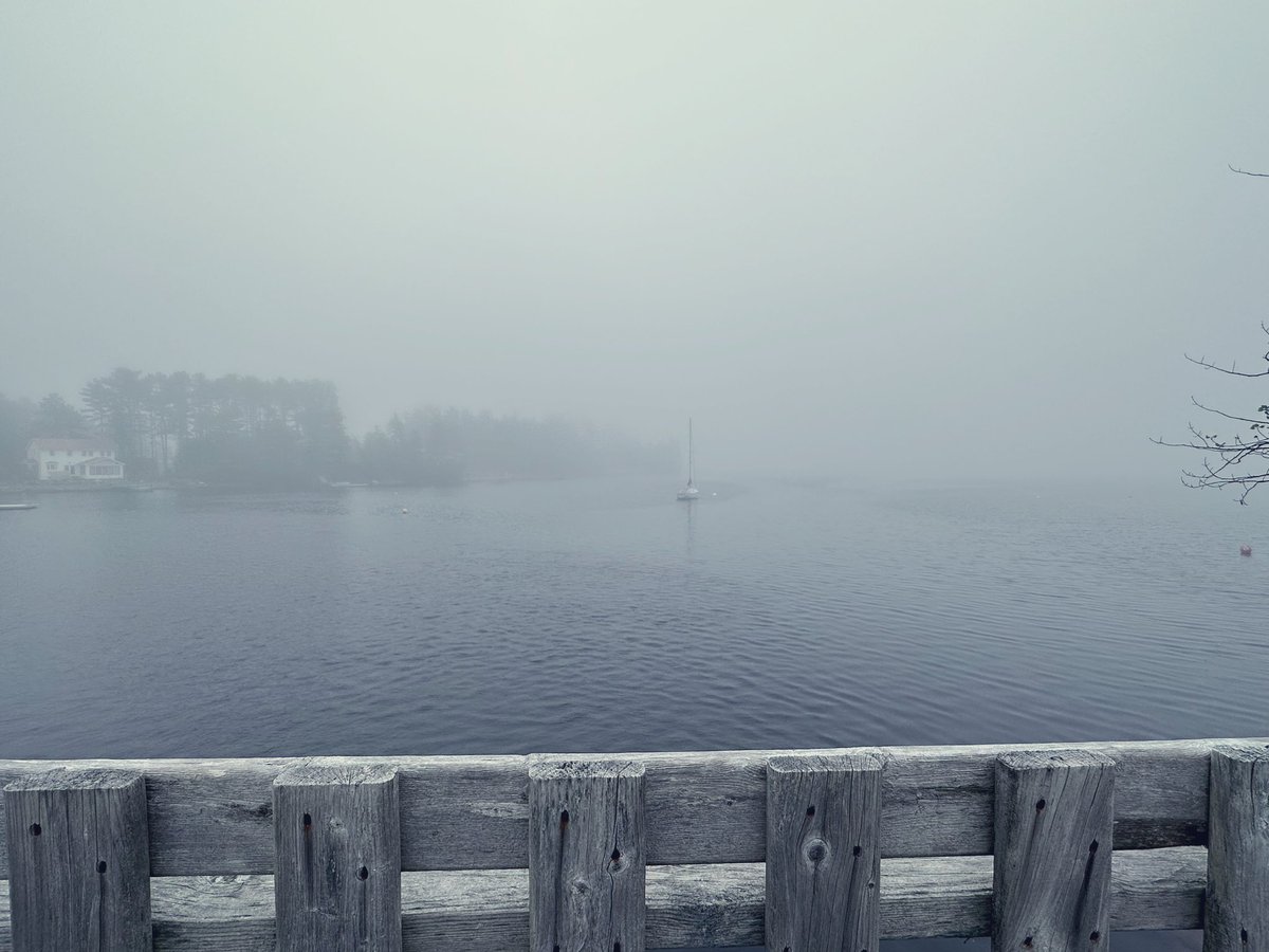 MennaRiley's tweet image. A wee bit foggy on the trail ride today ☁️