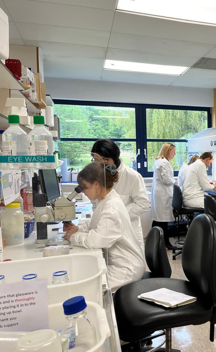 Jenny_Koukara tweet media