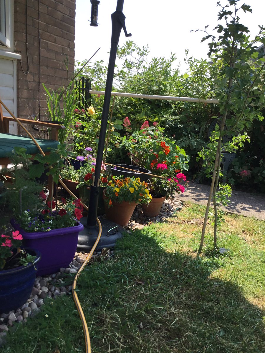 #Containergardening   jewel like June colours. Have a happy sunny Saturday.