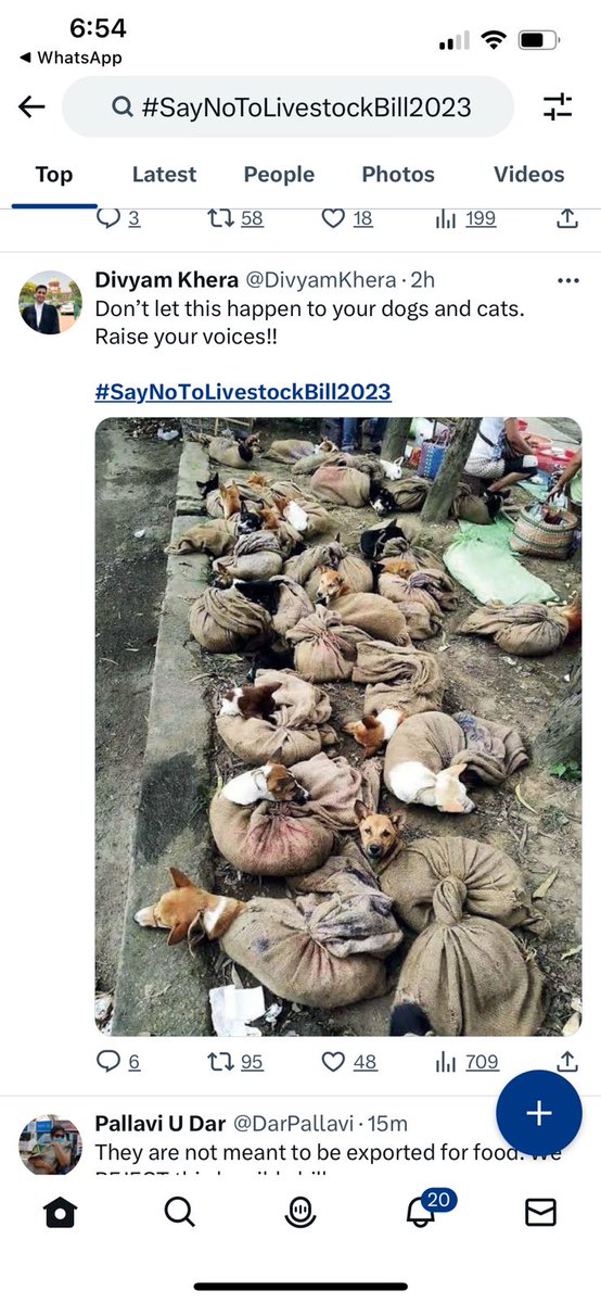 #SayNoToLivestockBill2023
The LivestockBill2023 proposed by the Ministry includes "canines &amp; felines”. First Livestock law in 1898 &amp; later amended 100 years later in 2001 did not mention cats &amp; dogs. SO WHY NOW? #SAYNOTOLIVESTOCKBILL2023 <a href="/PRupala/">Parshottam Rupala</a> <a href="/Dept_of_AHD/">Dept of Animal Husbandry & Dairying, Min of FAH&D</a> <a href="/PMOIndia/">PMO India</a> <a href="/AmitShah/">Amit Shah</a>