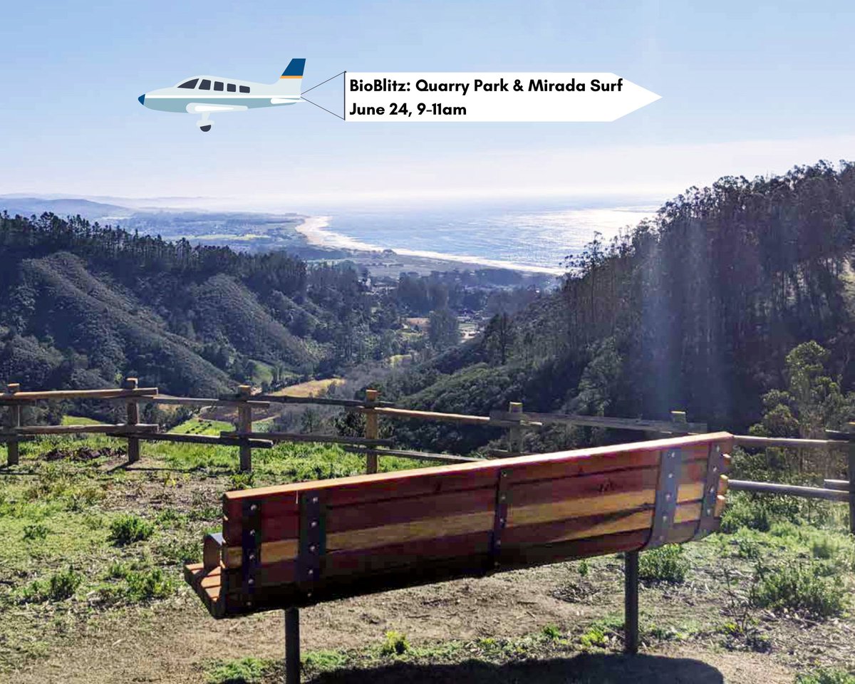 SMCParks's tweet photo. This is a reminder to join #SMCParks, #CALAcademy, and Sequoia Audubon Society for a #BioBlitz on June 24! This will be the first bioblitz to take place at Quarry Park &amp; Mirada Surf. Register here: https://t.co/dvAyXKO6Ju https://t.co/i1htfVsInj
