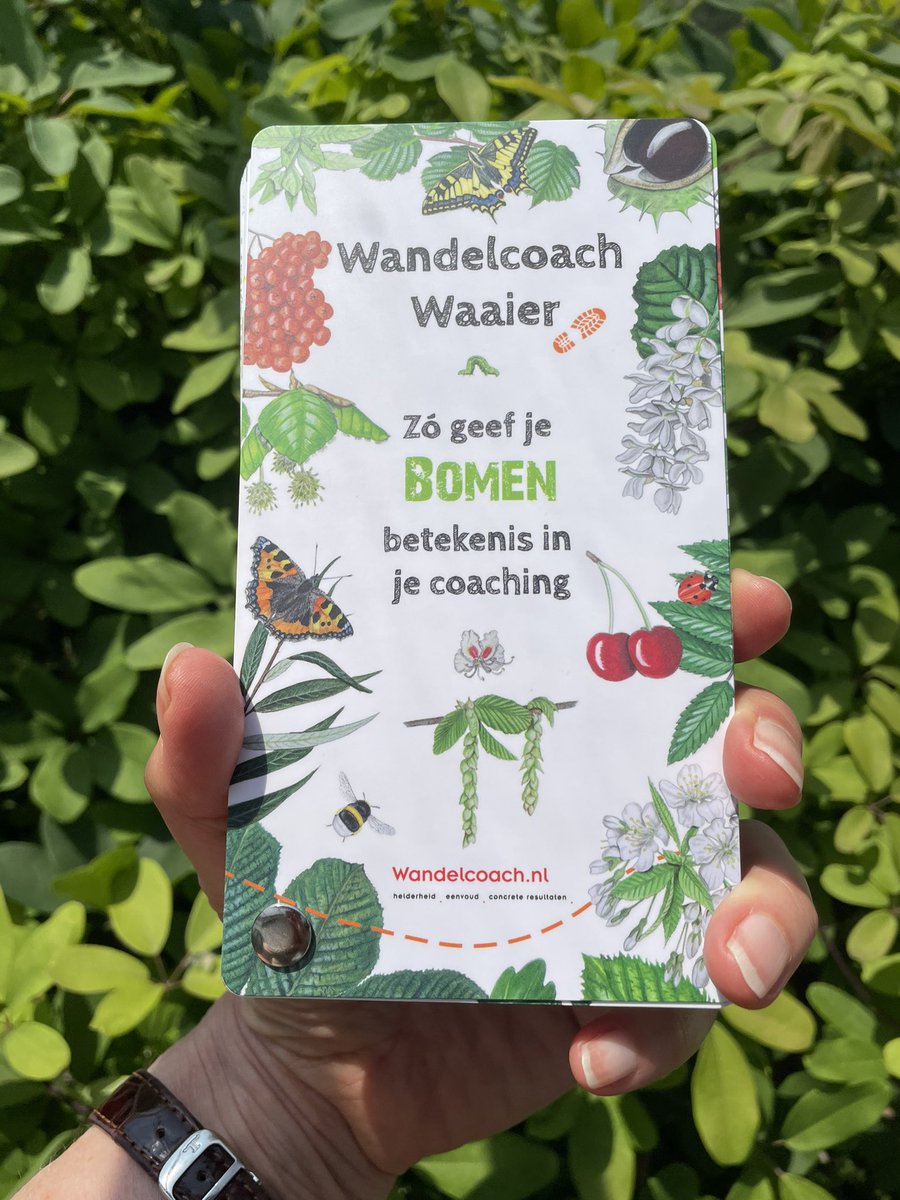 Hilde Backus tweet media