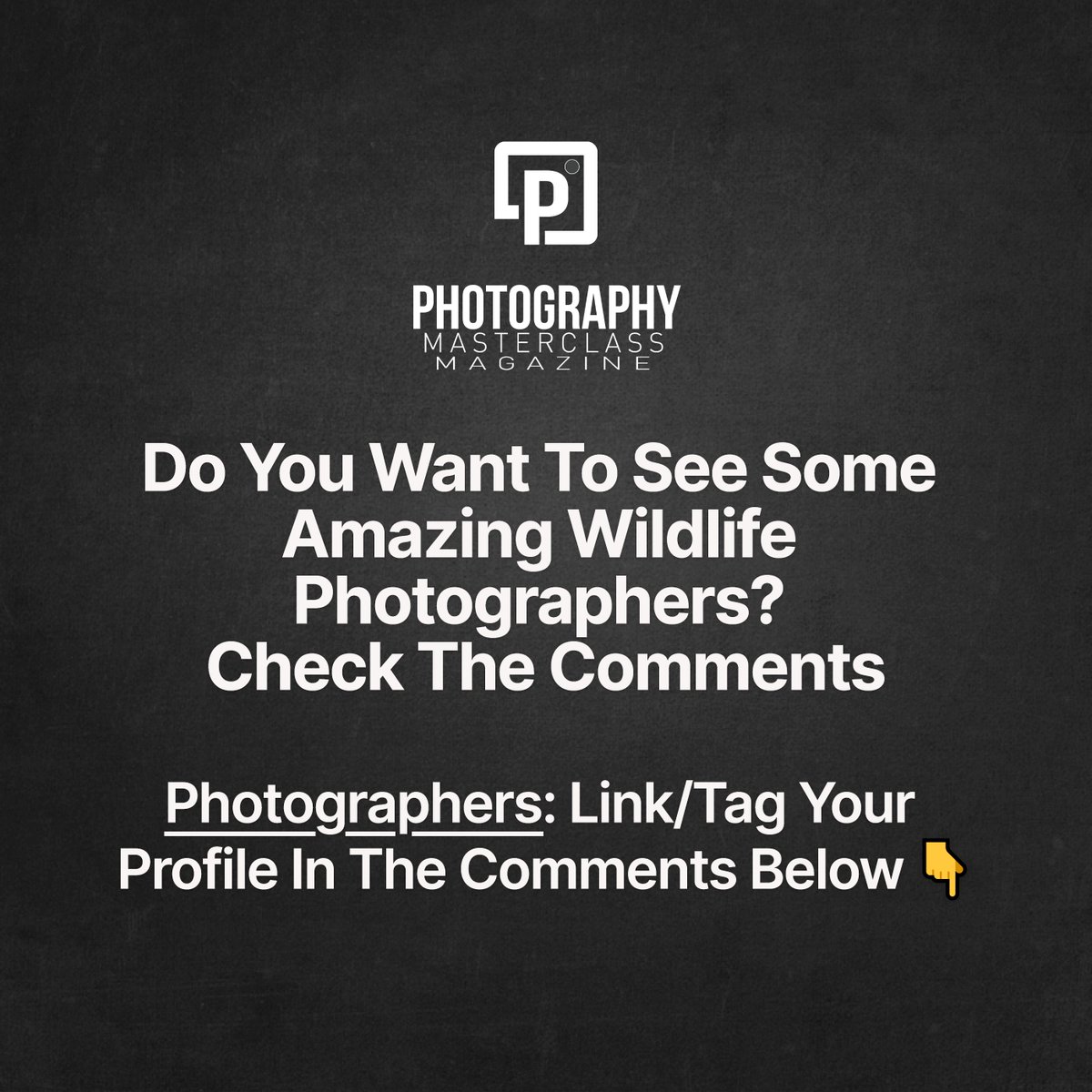 Wildlife photographers - don't be shy & tag yourself

#wildlifephotographer #photographymasterclassmagazine #lifeofaphotographer #photographer #digitalphotography #photographymagazine #photographerlifestyle #photographerlife #500px