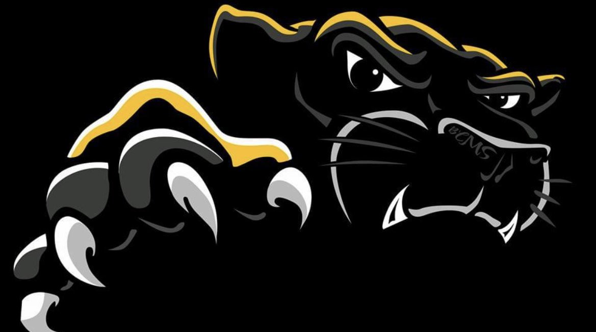 🐆 P A N T H E R    P R I D E 🐆

                        The ⌚️ 
                               is
                            N:💛W