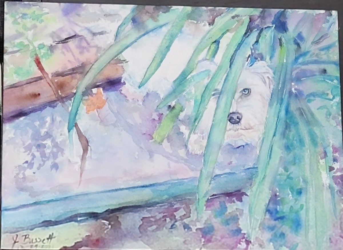 Jacquel18549321's tweet photo. #watercolor #alphi #maltese #mylove #rip https://t.co/GKyso9iBCM
