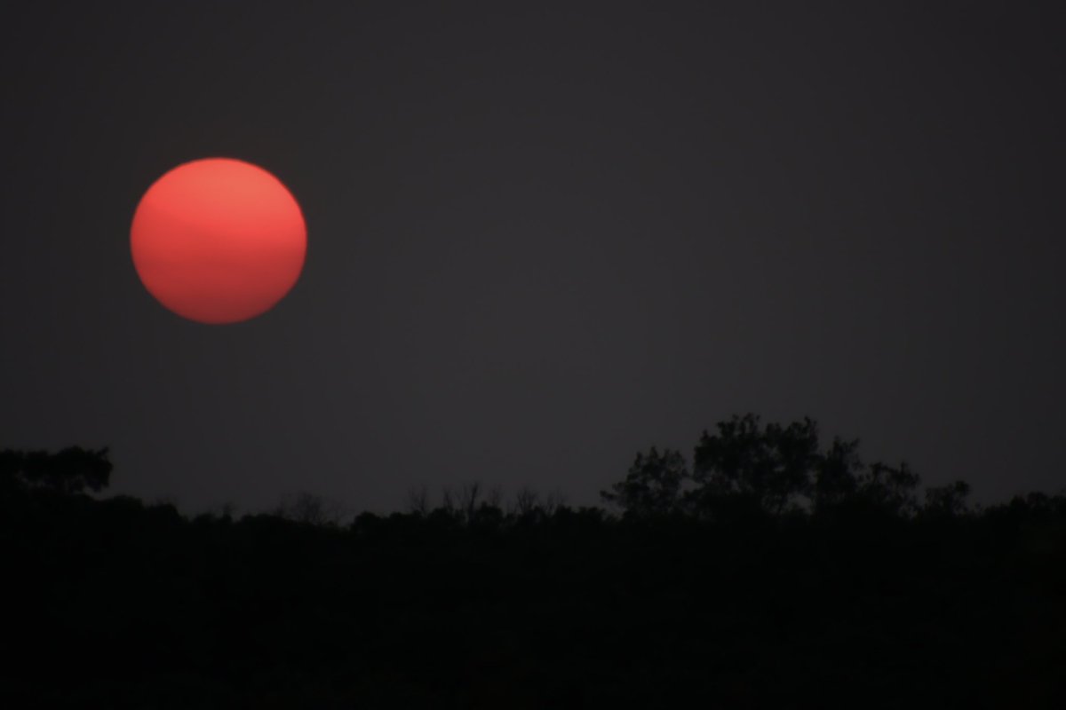 admired_art's tweet image. GM, time for another Weekend Challenge.

Today’s challenge might be scary to some 😟. Post a photo with no edits whatsoever.

I&apos;ll retweet them all! 

I’ll start. My photo has ZERO edits.

~~~~~~~~
Don’t forget to support each other - comment, retweet, and follow 🙏