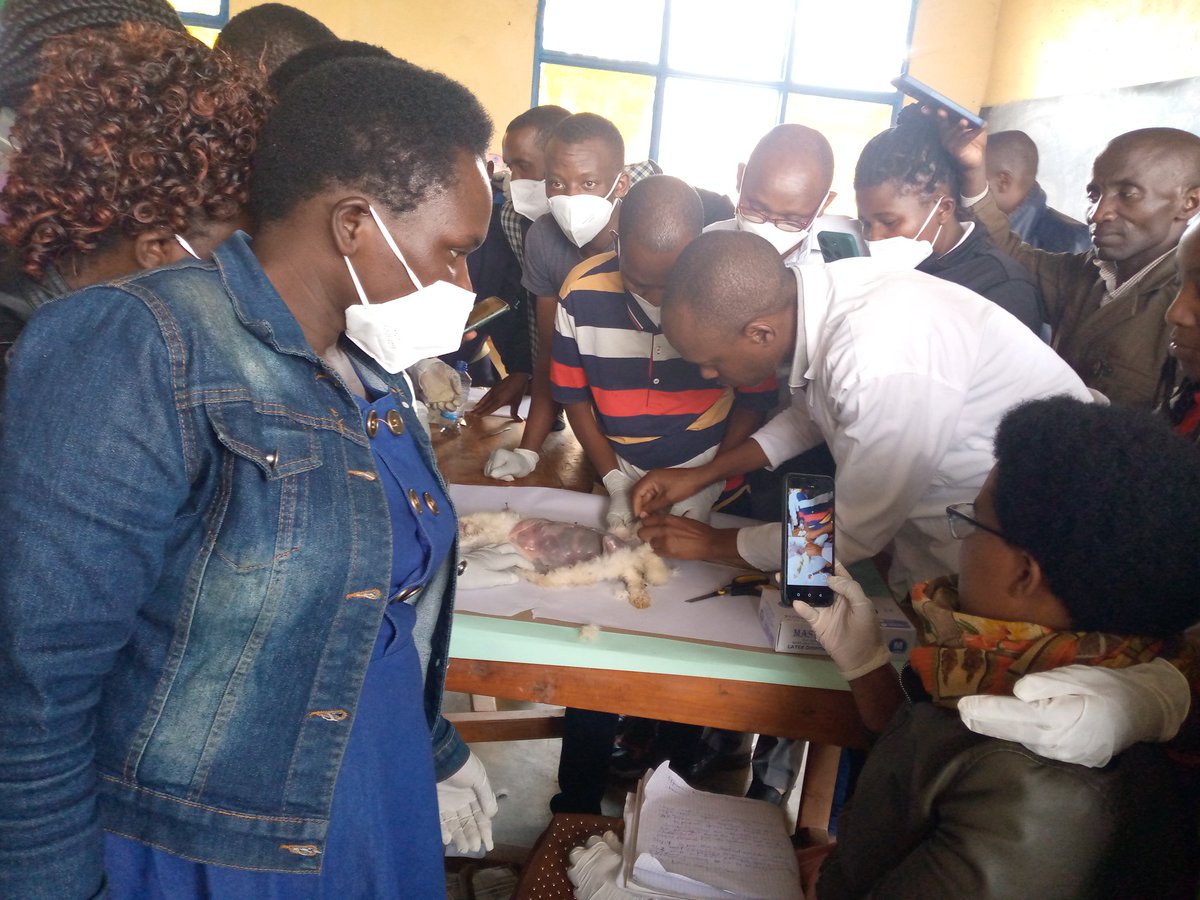 ur-ce-rwanda-on-twitter-maths-science-teachers-being-trained-in