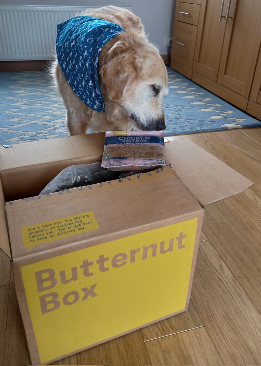 Phil Gooderham tweet media