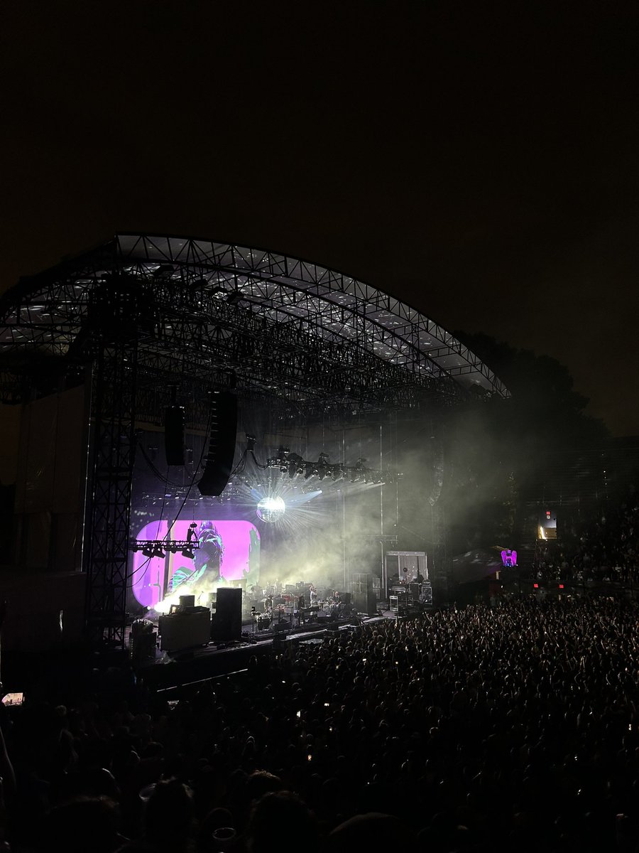 ShayneLisaa's tweet image. #LCDSoundsystem