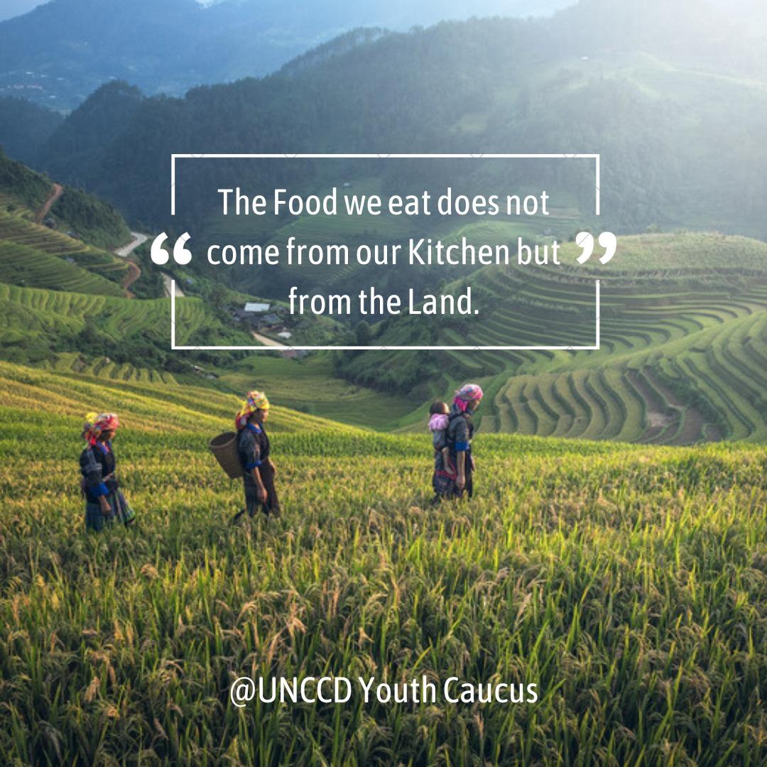 'The #Food we eat does not come from our #Kitchen but from the #Land.' - @UNCCDYouthCaucus 

The #Land provides us with #Food and #Fibre which helps us to #Flourish. Consequently, caring for our #Land and its #Resources is a moral imperative for us #Humans. 💚🌍💪

#UNited4Land