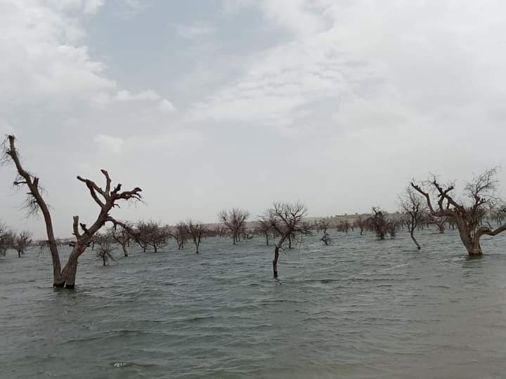 HanifSamoon1's tweet photo. And the petition filed by villagers against the wastewater reservoir #Gorano has been rejected by SHC. The wastewater from coalmines has already caused havoc with the environment #Thar. https://t.co/GG4Yg3TDlO