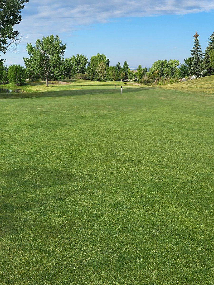 Dale Ekman tweet media