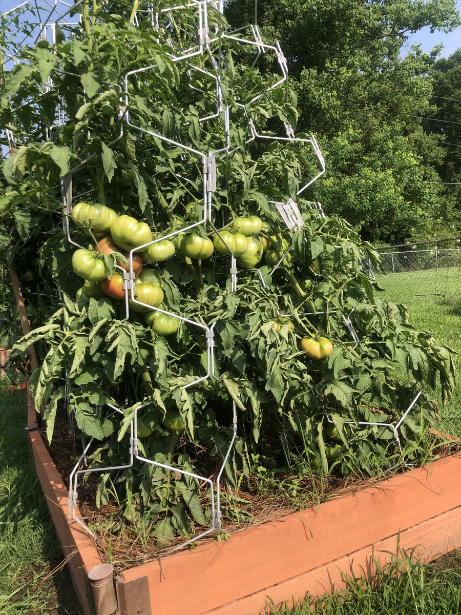 Scott Franklin tweet media