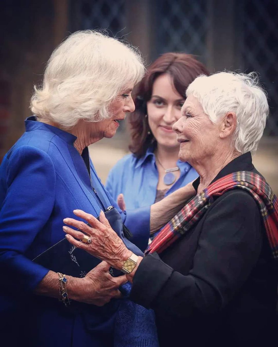 Two Queens 👑👑
#QueenCamilla
#DameJudyDench
#QueenElizabethI
#QueenVictoria
