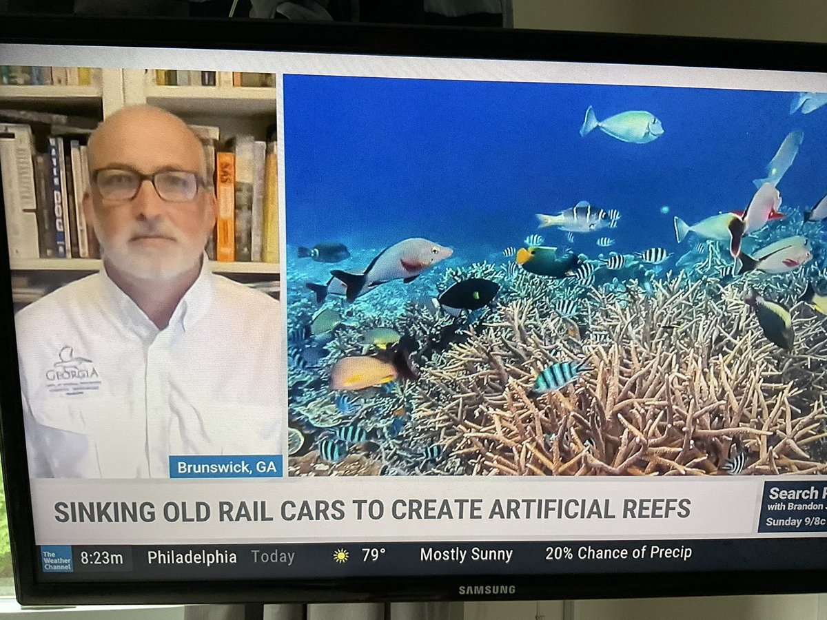 JayDadd's tweet photo. @JimCantore saw your doppelgänger on the @weatherchannel this morning. https://t.co/CU2G2Ng1tN