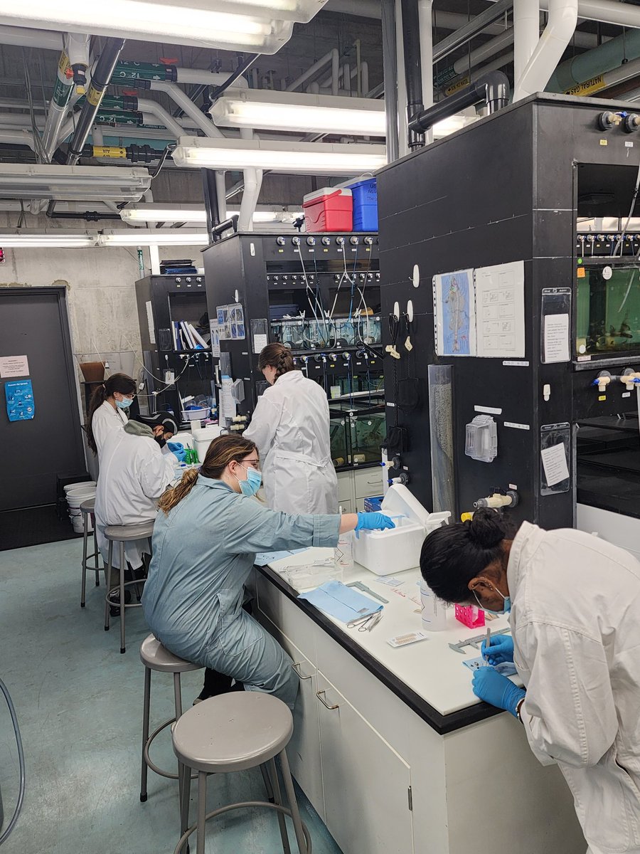 Aquatic Omics Lab tweet media