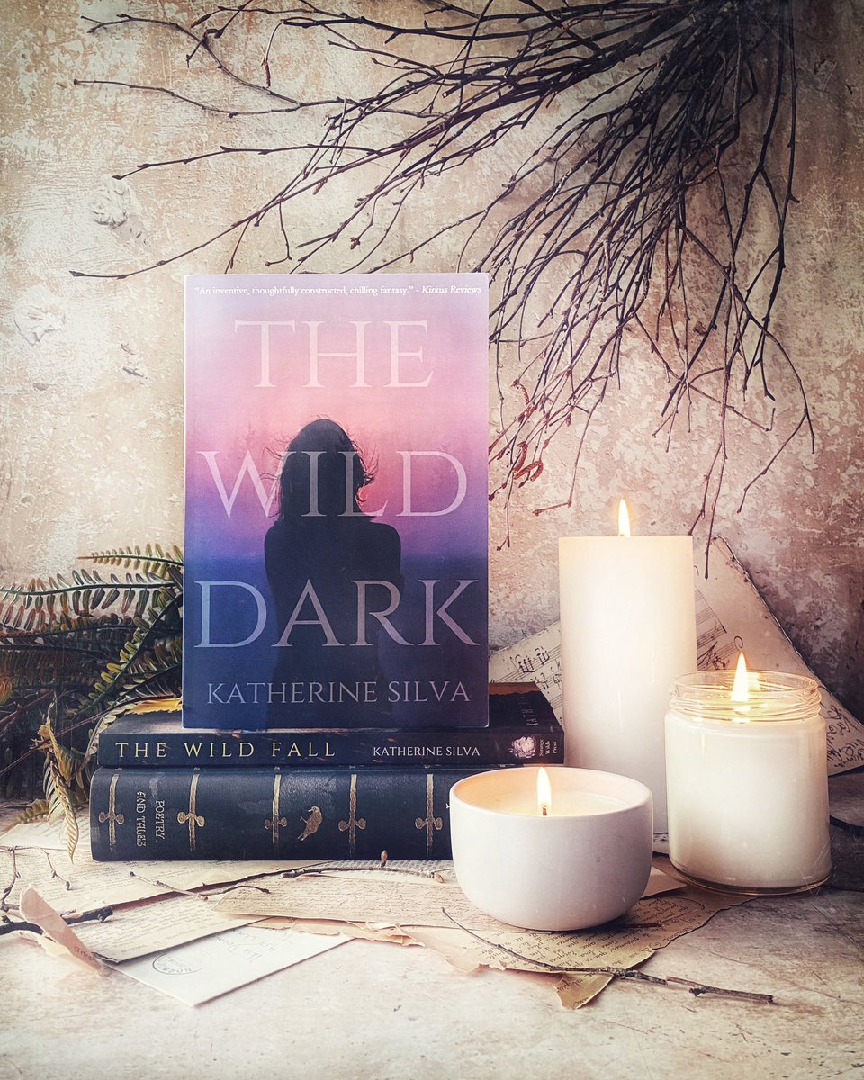 dlgillis20's tweet image. Book mail! Thank you @KatherineSilva_ for The Wild Dark and The Wild Fall. I’m ready to head into the woods….