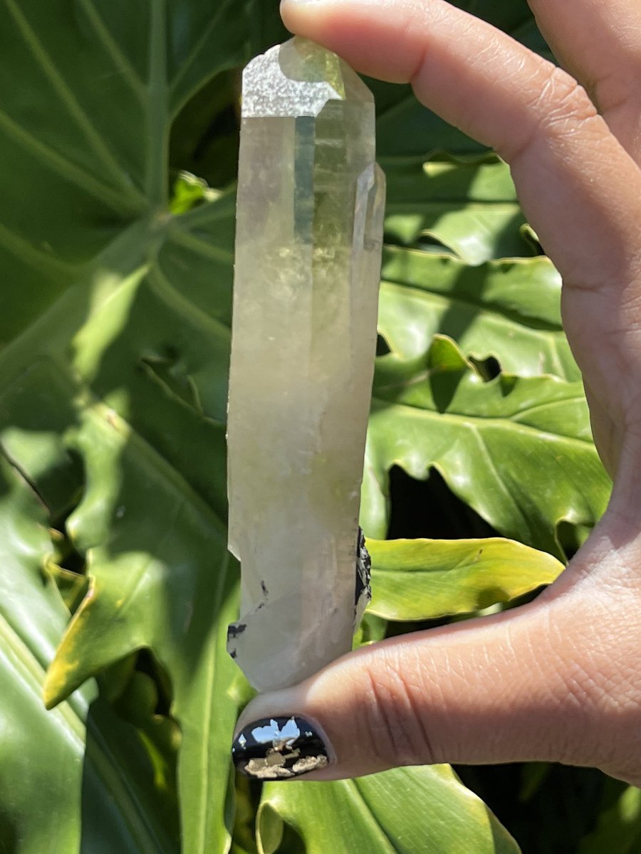 RutileUrban's tweet photo. #Citrine #CitrineWand π Now at ππ½ https://t.co/b7rx9xTDes
#UrbanRutile #CrystalShop #CrystalsForSale #Crystals #BlackOwnedBusiness #SmallBusinessOwner #ShopSmall #Crystal #Crystals #Pinterest #BlackOwned #CashApp #Amazon #PayPal #Venmo #Etsy #Sale #Buy #TikTokReel #RealCrystals https://t.co/1lG07iM3hp