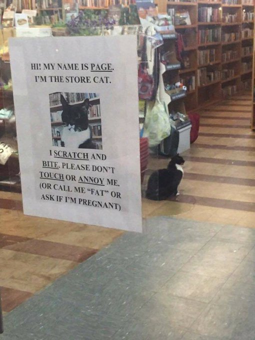 A sign on a door which warns people of a store security kitty. Inside the store, the black and white cat in question sits waiting.