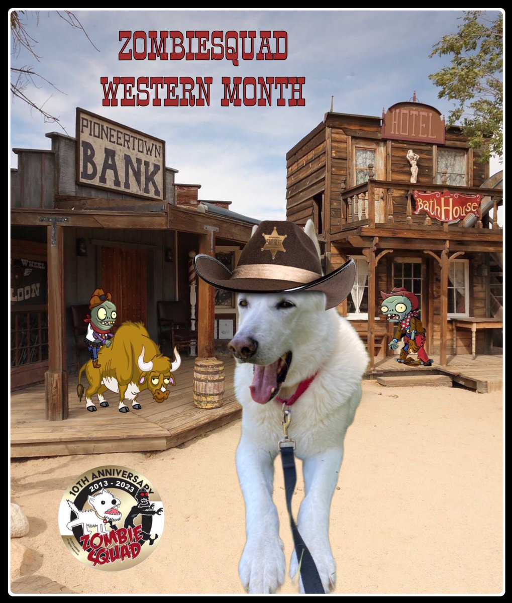 @SassytheMinPin I’m ready with my posse Fred and Ed! 🤩 @carsenault5 #zzst