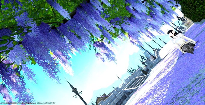 「outdoors wisteria」 illustration images(Latest)