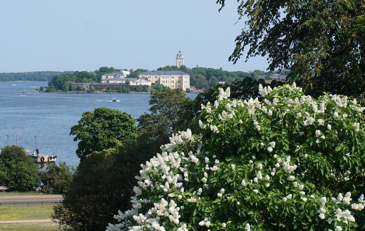 .#Helsinki today. #Kaivopuisto #Suomenlinna #Sveaborg #flowers