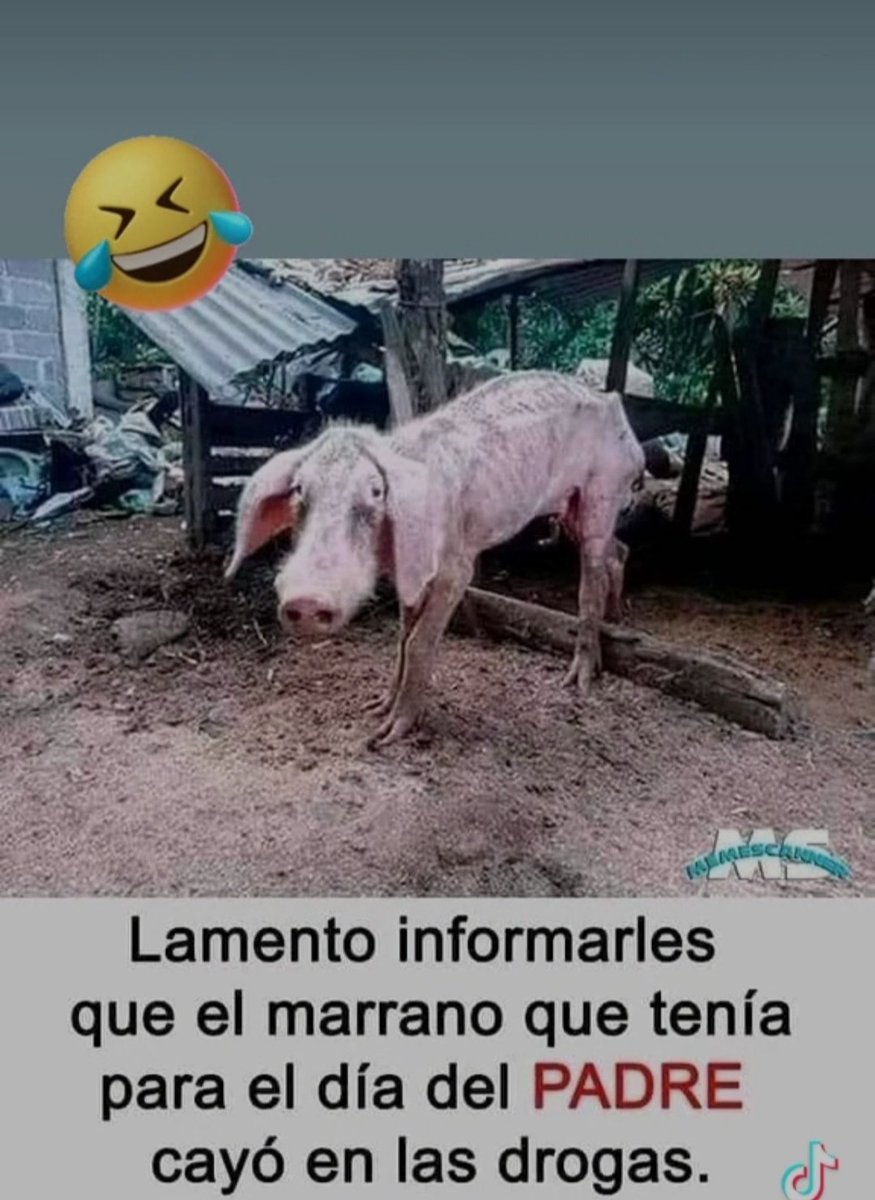 Estrellita tweet media