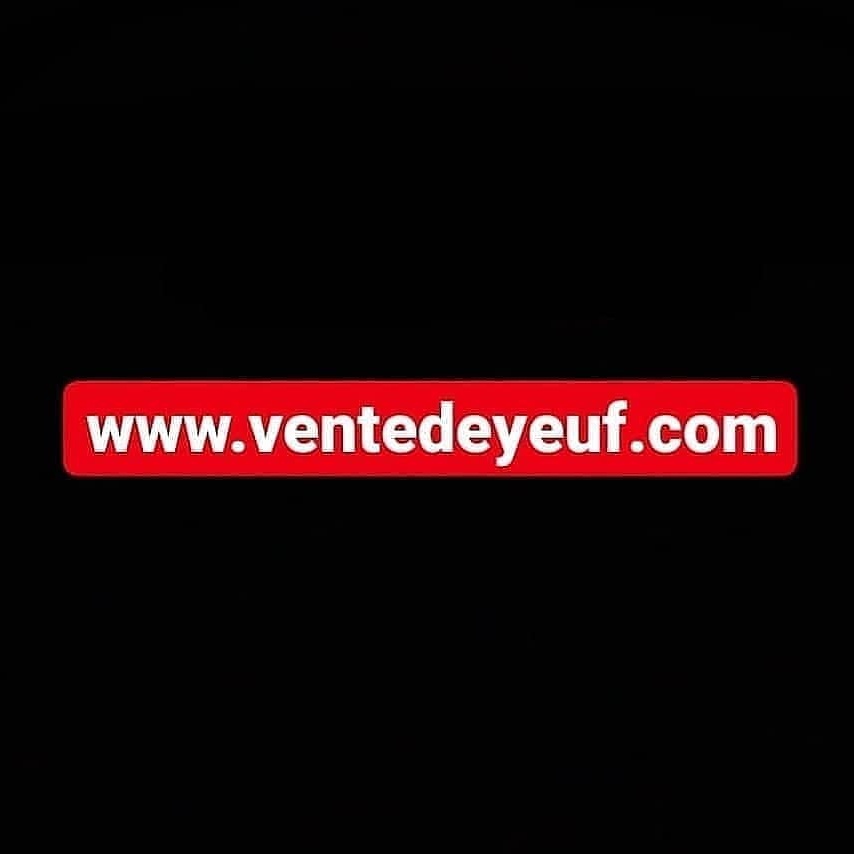 ventedeyeuf's tweet image. ventedeyeuf.com #yeuf