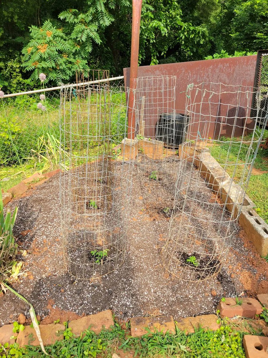 SustainingWay's tweet photo. We recently installed a Backyard Garden for Mr. Jimmy Aiken! Mr. Jimmy stated that he "really appreciated SW installing the garden for him... Now that it is planted, I will be able to take car of them and am excited about having fresh tomatoes later this summer." https://t.co/9tG8AbfT6k