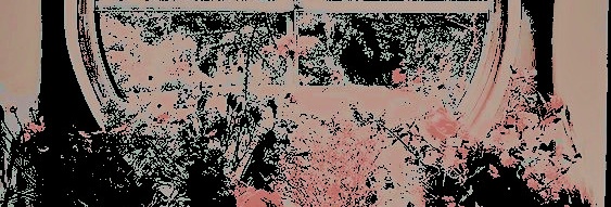 sleepoth's tweet image. 