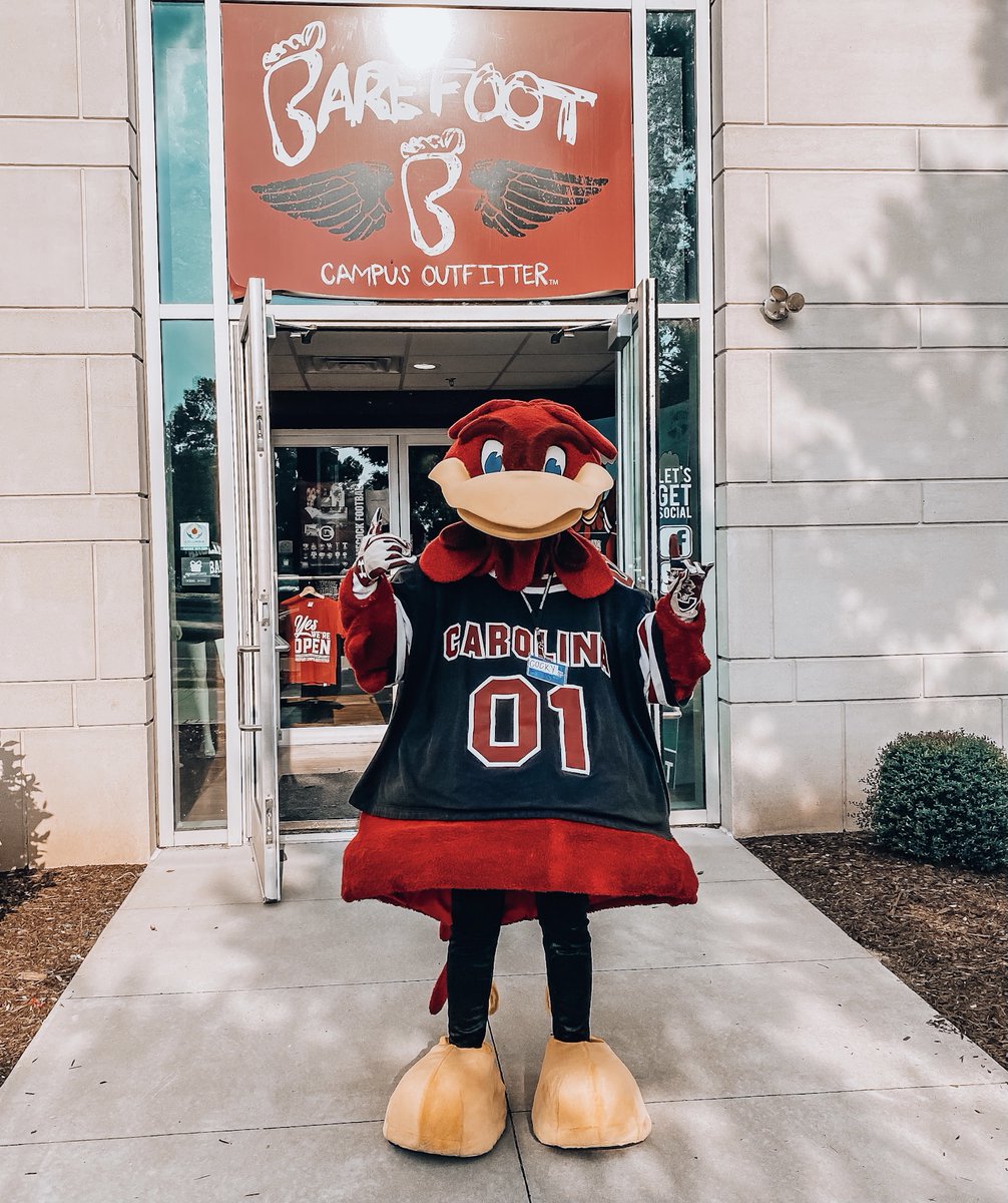 Cocky appreciation post, we 🫶 you #NationalMascotDay #ShopBarefoot #GoCocks #UofSC