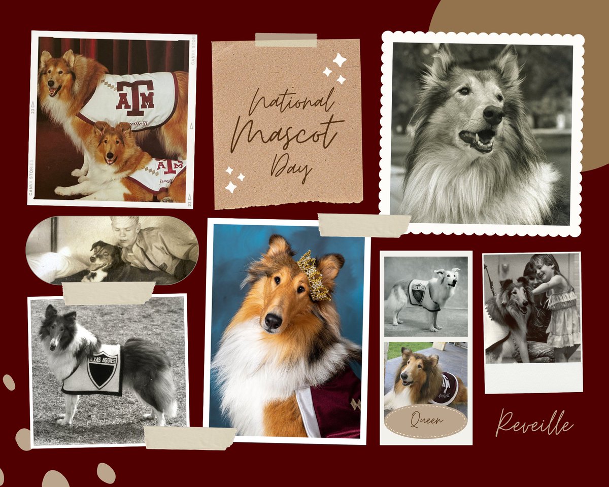 Happy National Mascot Day! We <3 Miss Rev at ISSS!!! ❤️❤️❤️

#tamu #gigem #whoop #reveille #nationalmascotday