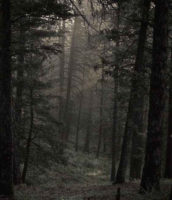 RUSHNESCAPE's tweet image. ㅤㅤㅤ
ㅤㅤ           𓆃    𝗠𝗜𝗦𝗜𝗢𝗡, 𝗽𝗮𝗿𝘁𝗲 𝟭.

         ❛ 𝙴𝚕 𝚌𝚘𝚛𝚊𝚓𝚎 𝚗𝚘 𝚙𝚞𝚎𝚍𝚎 𝚋𝚘𝚛𝚛𝚊𝚛 𝚗𝚞𝚎𝚜𝚝𝚛𝚘𝚜 𝚖𝚒𝚎𝚍𝚘𝚜. 𝙲𝚘𝚛𝚊𝚓𝚎 𝚎𝚜 𝚌𝚞𝚊𝚗𝚍𝚘 𝚗𝚘𝚜 𝚎𝚗𝚏𝚛𝚎𝚗𝚝𝚊𝚖𝚘𝚜 𝚊 𝚎𝚕𝚕𝚘𝚜. ❜
ㅤㅤ
ㅤㅤ