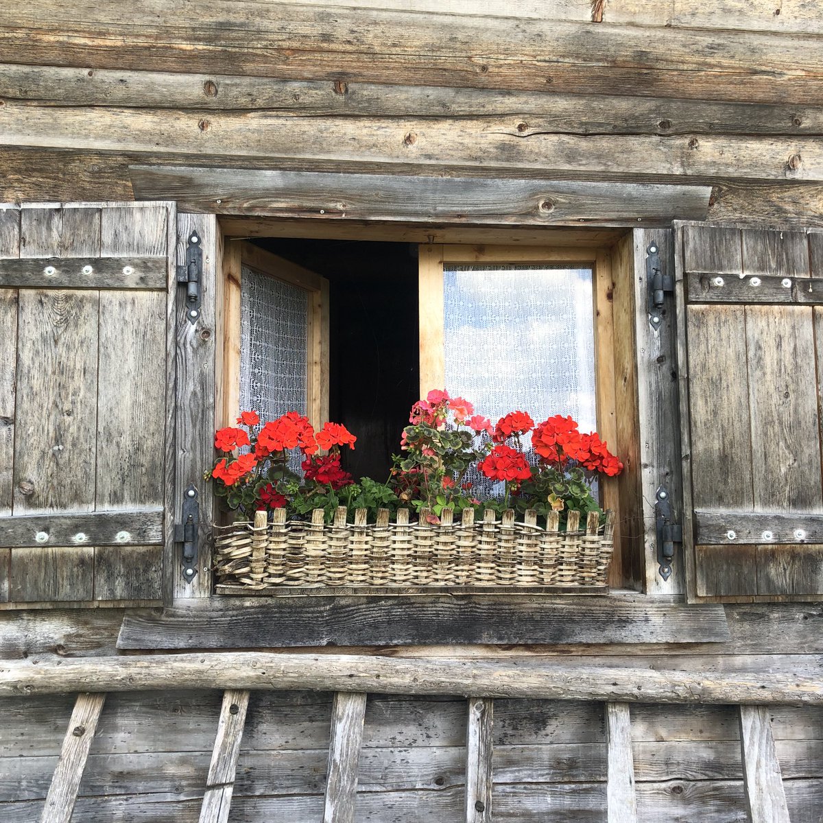 Almsommer in Südtirol 🏔️🇮🇹🐄

#Suedtirol #altoadige  #nofilter