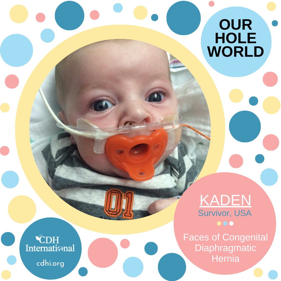 The Faces of Congenital Diaphragmatic Hernia

cdhi.org

#CDH #CDHAwareness #NotJustAHole #CongenitalDiaphragmaticHernia #CDHAwarenessMonth #April19 #CDHCharity #PediatricSurgery #GlobalSurgery #RareDisease #PatientAdvocacy #Donate