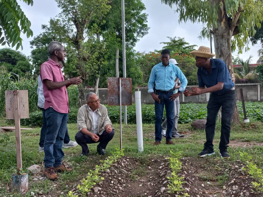 JackyLumarque's tweet photo. En visite au Parc technologique agricole de la American University of the Caribbean des Cayes avec le doyen de la faculté d’agronomie le Dr Ludger Jean Simon https://t.co/VEELFX1EEr
